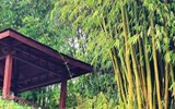 校友活动-实例1