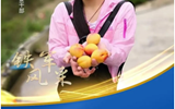 王秋婷：打瓦山上的索玛花