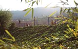 校友风采